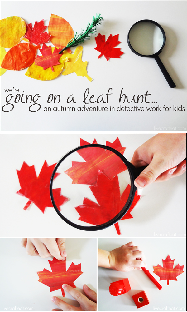 We're Going on a Leaf Hunt! :: an autumn adventure in detective work for kids.