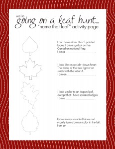 Printable leaf identification activity for kids