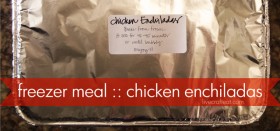 freezer meal :: chicken enchiladas