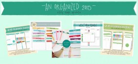 an organized 2015