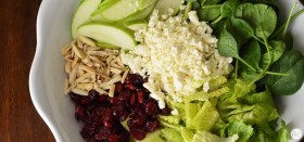 apple cranberry salad with feta