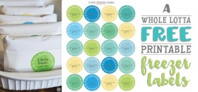 a whole lotta free printable freezer labels!