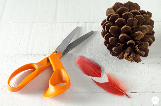 how to make pinecone turkeys