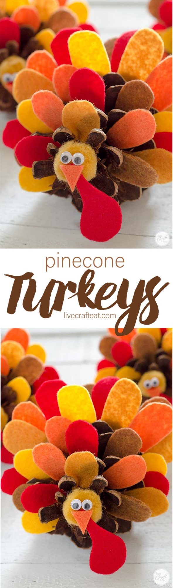 thanksgiving pinecone turkeys :: perfect for decorating or using as place cards at your thanksgiving table!