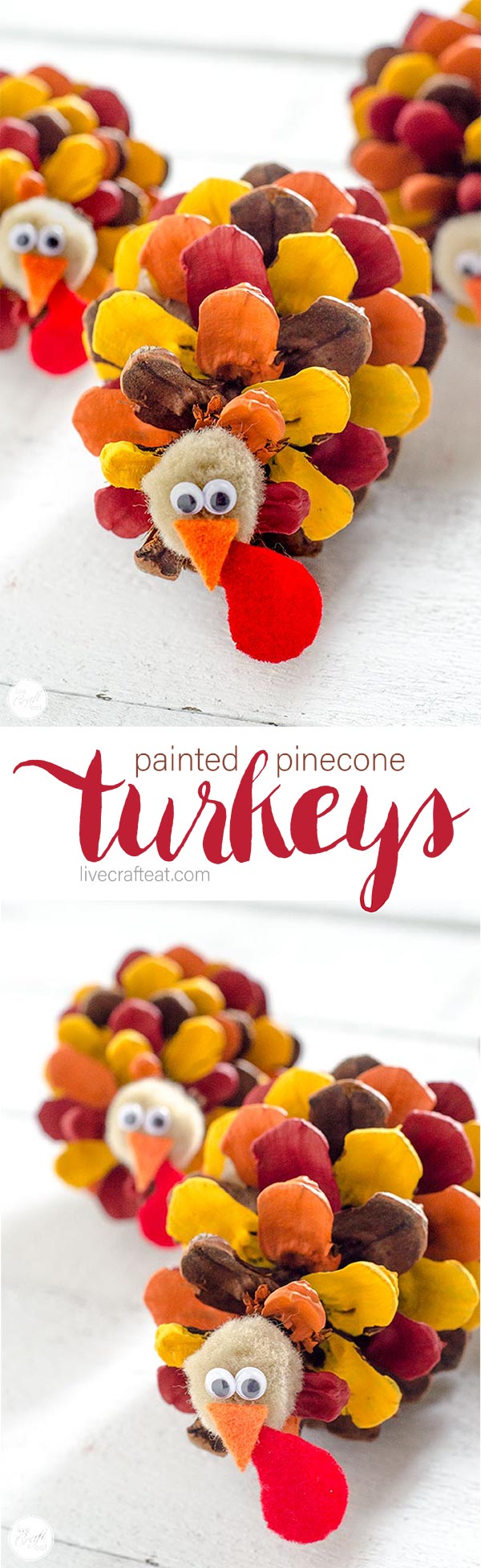 painted pinecone turkeys :: perfect thanksgiving craft for kids, and great as place card holders, or just as cute thanksgiving decorations!