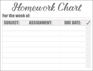 Daily Homework Chart